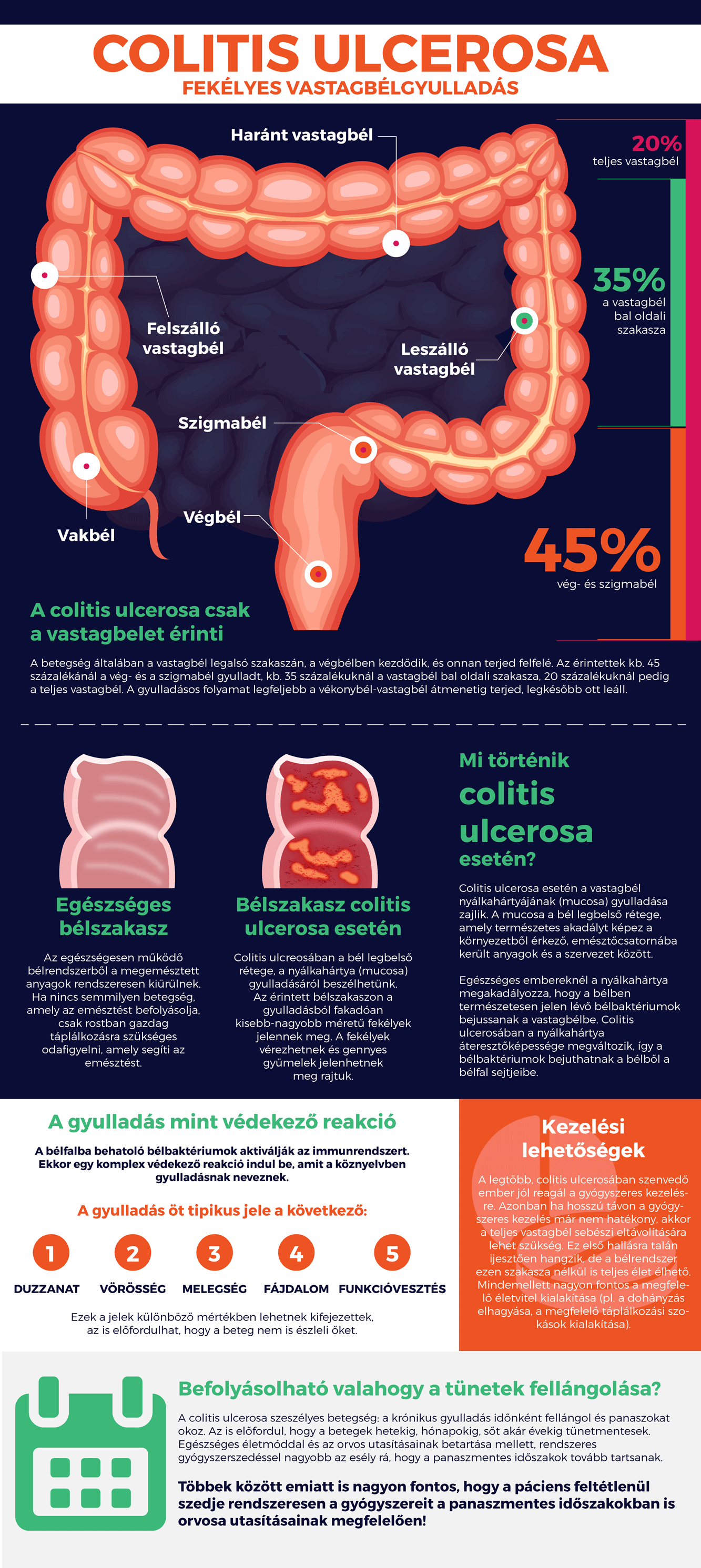 Gyulladásos bélbetegségek: a Crohn-betegség és a colitis ulcerosa