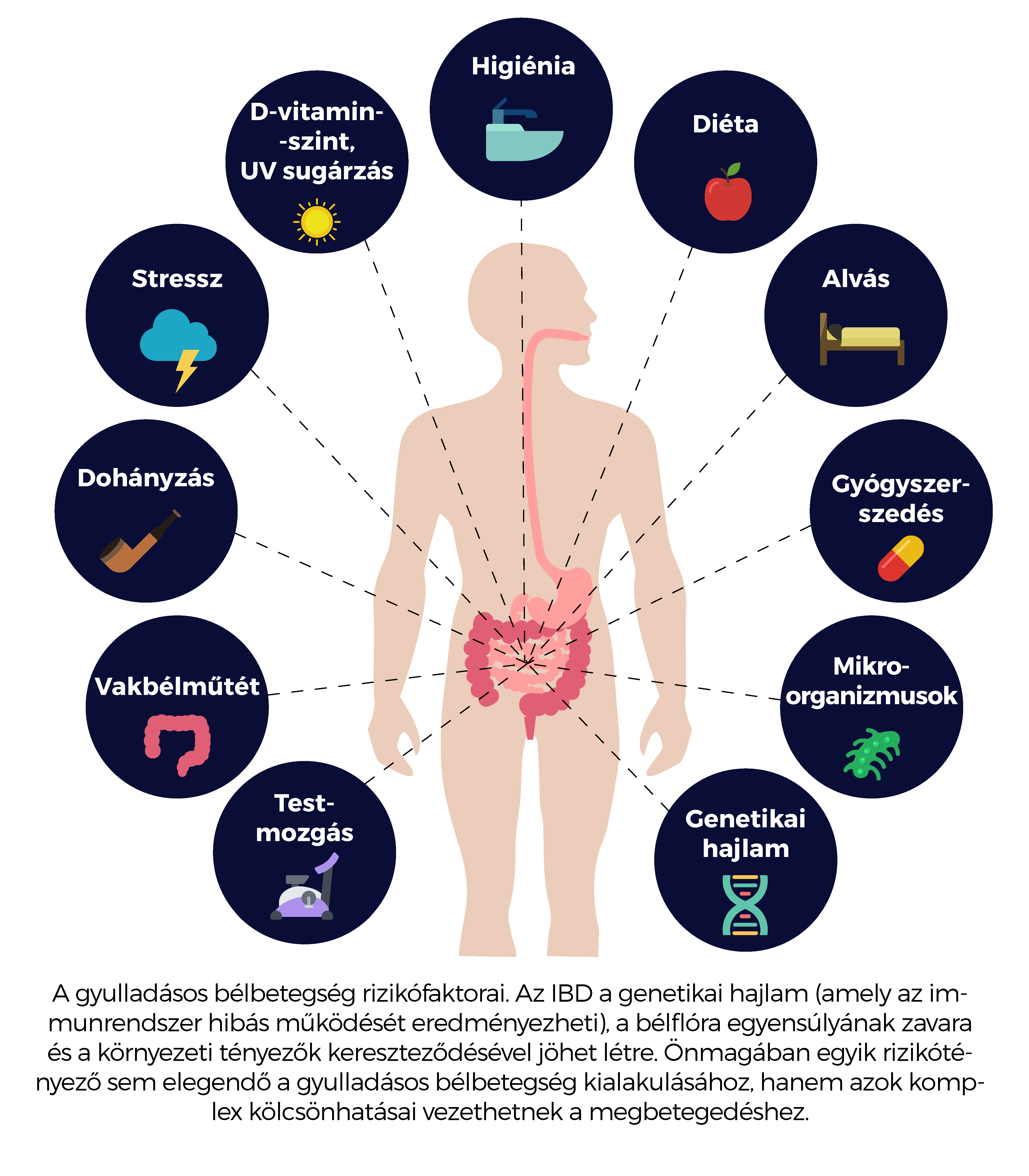 Gyulladásos bélbetegségek: a Crohn-betegség és a colitis ulcerosa